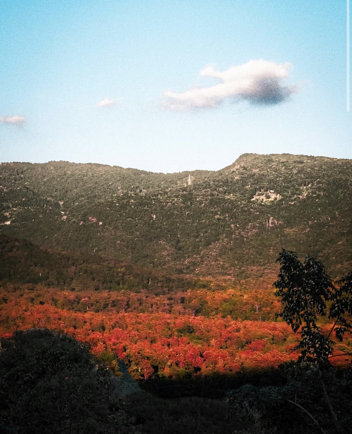 Portfolio Image 2